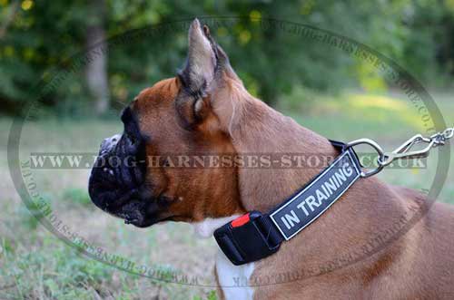 Dog Training Collar for Boxer, Nylon with Removable ID Patches